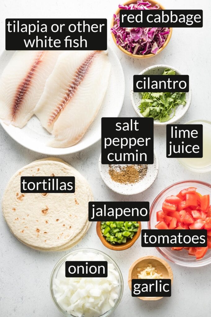 Plates showing all major ingredients: raw fish fillets, shredded red cabbage, cilantro, lime juice, spices, tortillas, chopped jalapeno, chopped tomatoes, onion, and garlic.
