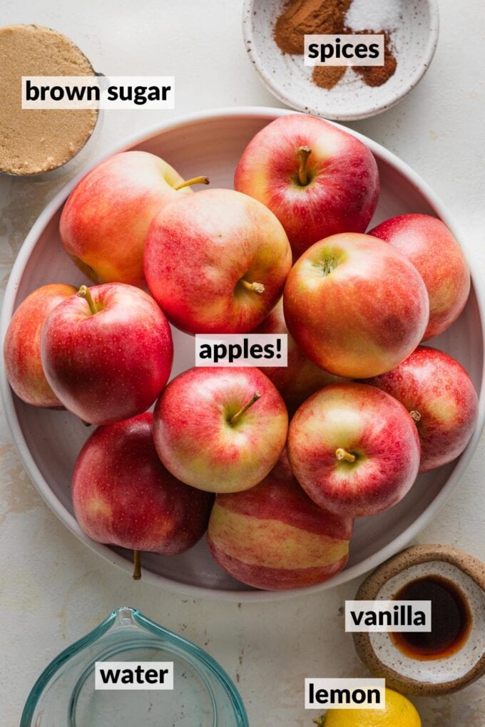 Labeled overhead photo of apples, spices, brown sugar, vanilla extract, water, and lemon juice.