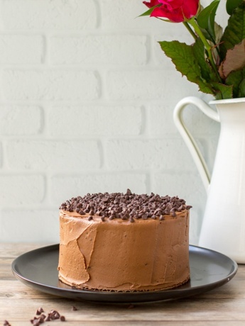 One-bowl mini chocolate cake with mocha buttercream.