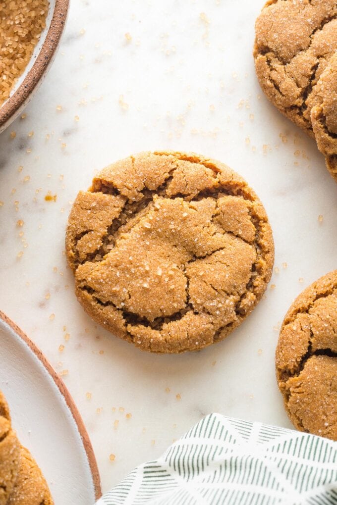 Close up of a chewy ginger molasses cookie.