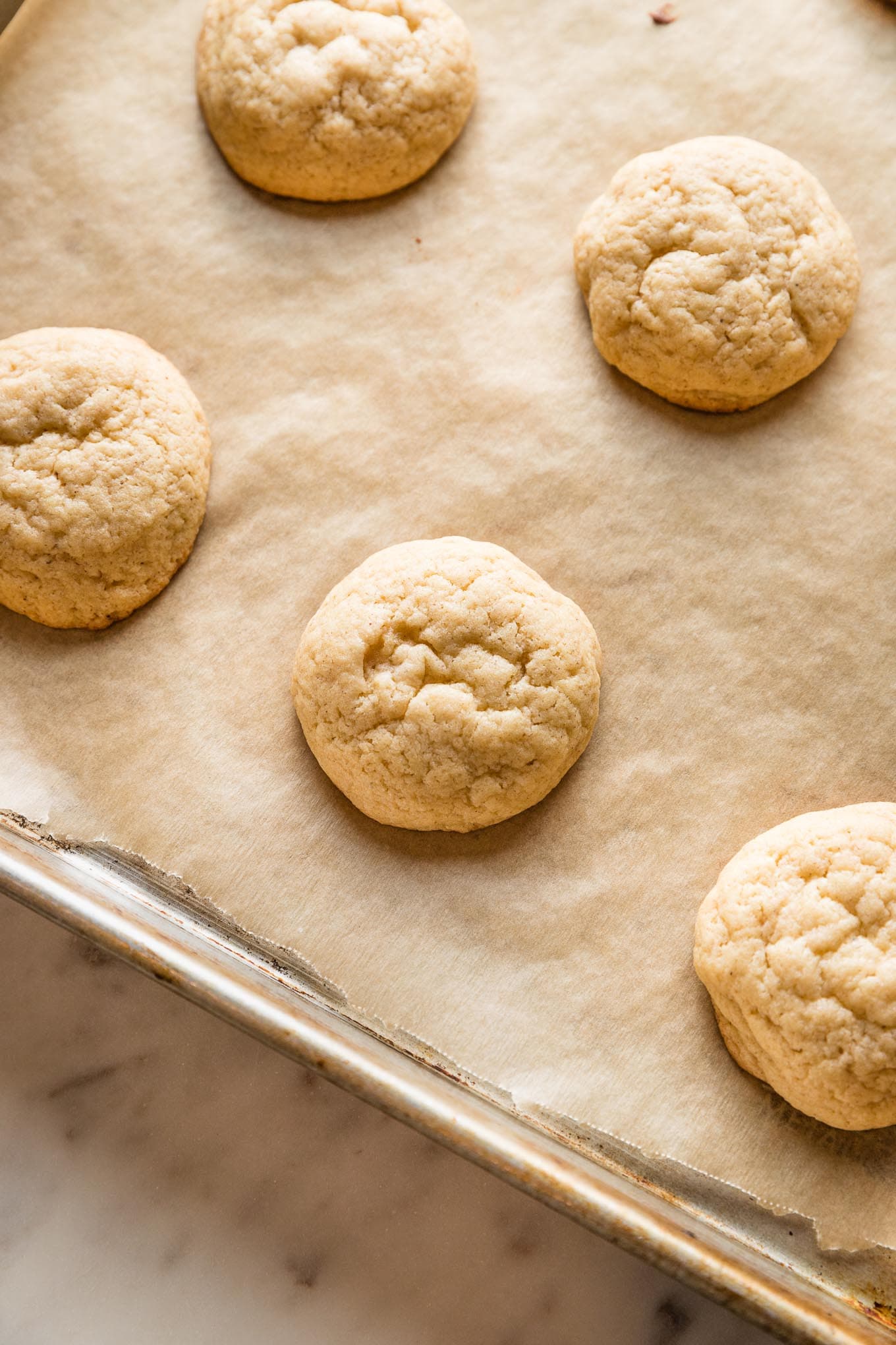 Just-baked eggnog sugar cookies cooling on a parchment paper-lined baking sheet.