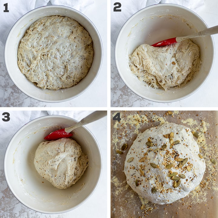 Step by step photos of dough rising and being folded to make no knead Dutch oven bread.