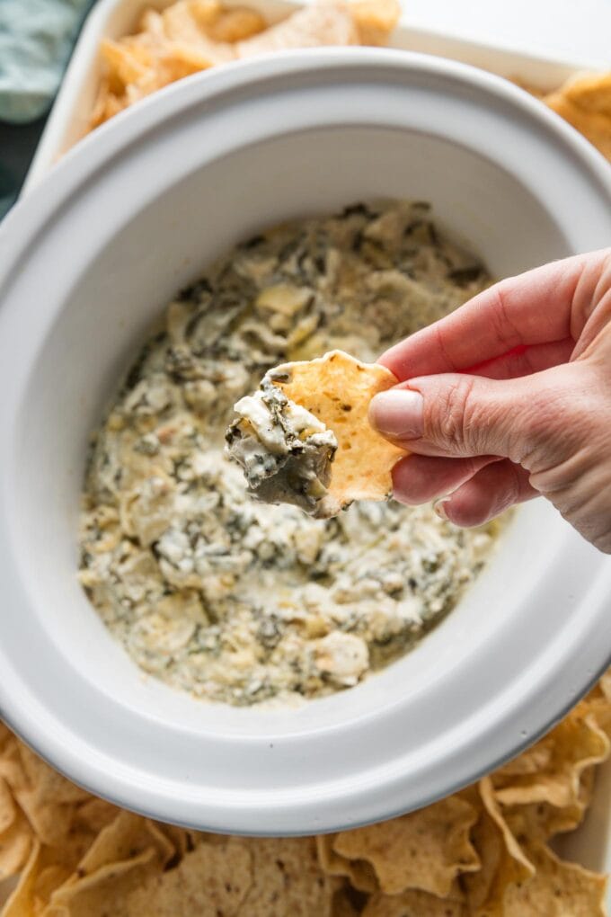 Close up of a tortilla scoop filled with spinach artichoke dip.