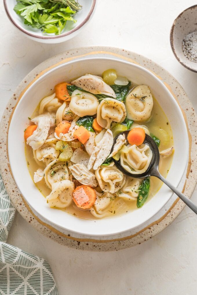 Bowl full of chicken tortellini soup with carrots, celery, parsley, and Italian herbs.
