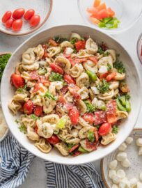 Bowl full of Italian tortellini pasta salad with veggies, pepperoni, and Italian dressing.