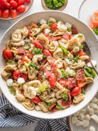Close up of a bowl full of tortellini pasta salad loaded with peppers, pepperoni, tomatoes, mozzarella, and Italian dressing.