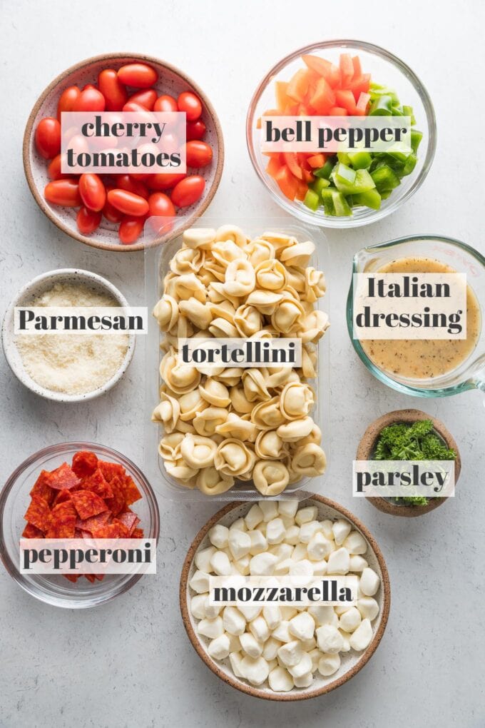 Labeled overhead photo of cheese tortellini, fresh mozzarella, chopped bell peppers, cherry tomatoes, pepperoni, Parmesan, parsley, and Italian dressing.