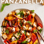 Impress your friends or round out family dinner with this drool-worthy Marinated Mozzarella Panzanella! Perfect for using ripe late summer tomatoes, with creamy mozzarella, crunchy bread, fresh herbs, and tangy balsamic glaze. #panzanella #tomatosalad #mozzarella