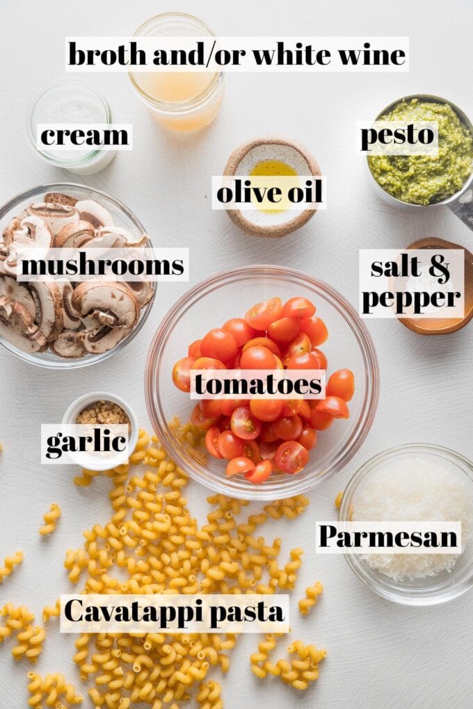 Labeled overhead image of cavatappi noodles, cherry tomatoes, sliced mushrooms, chicken broth, basil pesto, Parmesan cheese, minced garlic, cream, olive oil, salt, and pepper all measured into bowls and ready to cook.