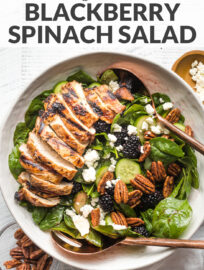 Photo of a large salad with spinach, blackberries, cucumber, and grilled chicken, in a white bowl ready to serve, with overlaid text, "Balsamic grilled chicken blackberry spinach salad."