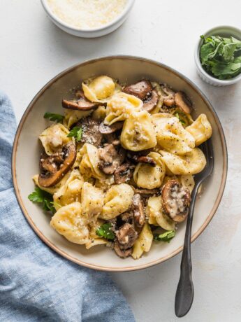 Small pasta bowl filled with cheese tortellini cooked with mushrooms, butter, and Parmesan.