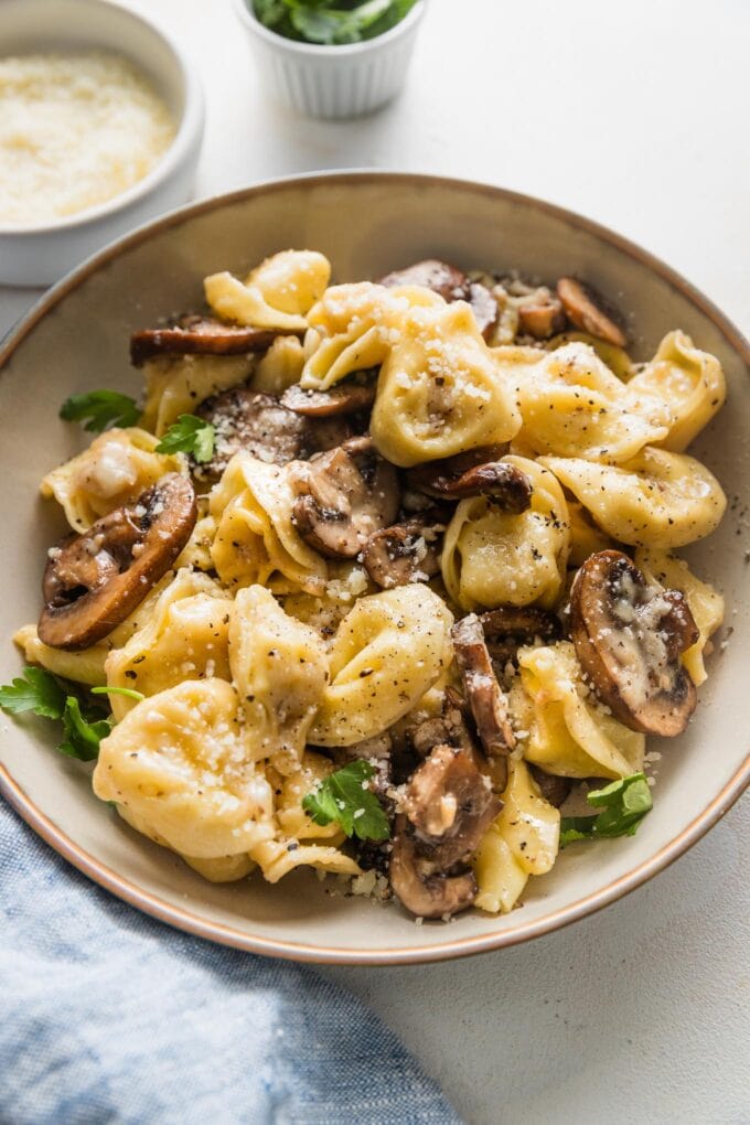 Angled view of a pasta bowl with a helping of tortellini with mushrooms.