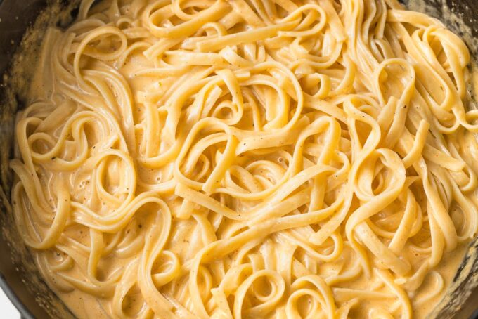 Close-up fettuccine Alfredo with blackening seasoning..