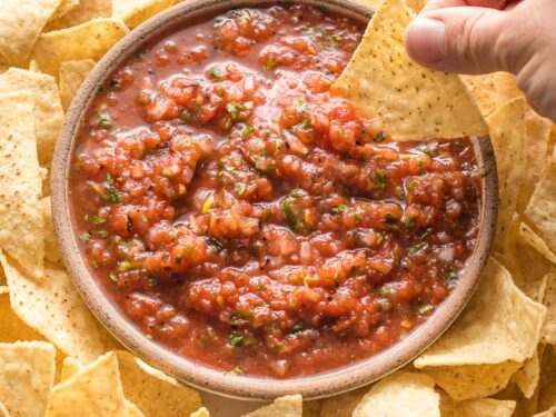 Simple Blender Salsa - Fed and Fulfilled