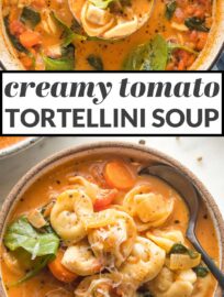 Cozy bowls of this Creamy Tomato Tortellini Soup are the perfect quick, easy, and filling meal. You'll love the creamy broth with rich tomato flavor, pillowy cheese tortellini, and tender veggies -- and that it only takes about 25 minutes to get on the table.