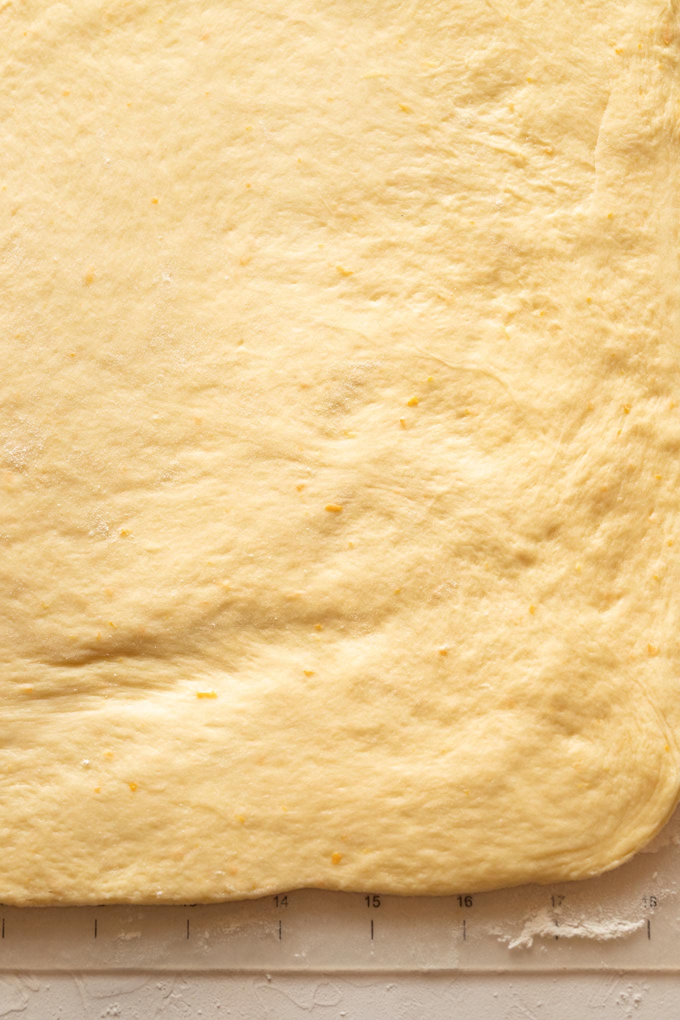 Close up of rolled out bread dough with visible flecks of orange zest.