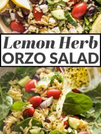 This simple and flavorful Lemon Orzo Salad is so easy to toss together and is a perfect side dish or light main. It's packed with creamy feta, crisp cucumbers, tangy olives, fresh herbs, and a simple yet delicious lemon vinaigrette.