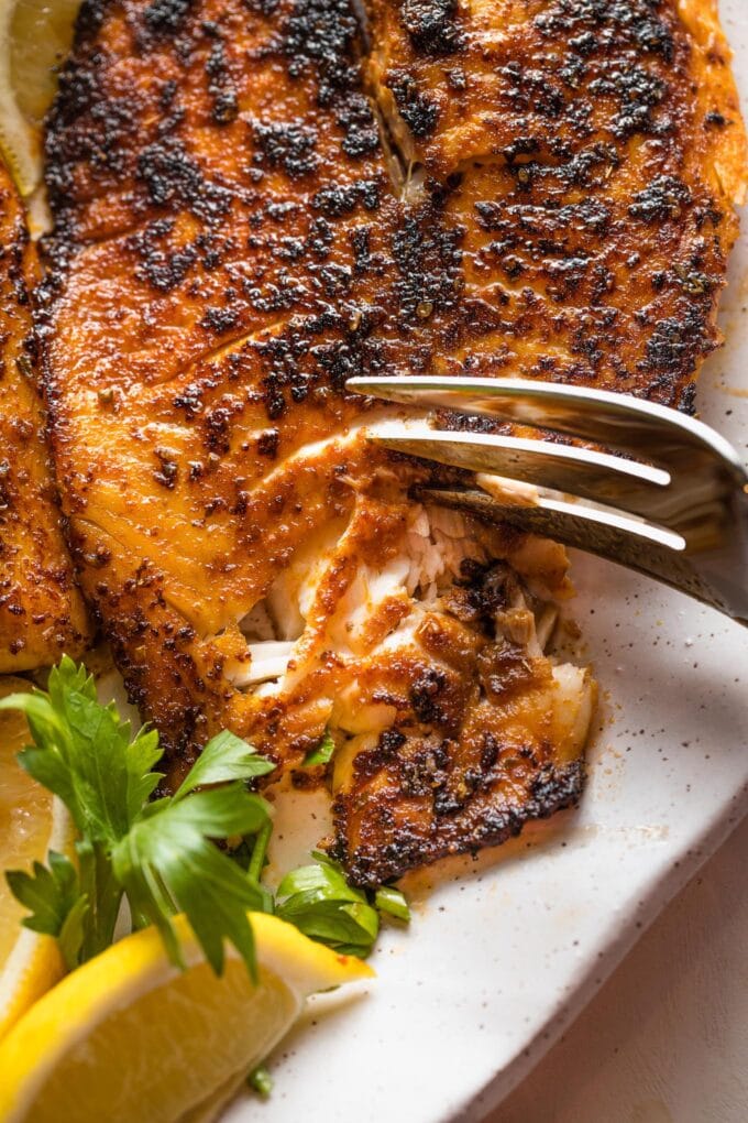 Close up image of a fork flaking a piece of tilapia to show it is well cooked.