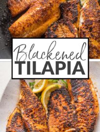 Blackened tilapia makes an ultra-fast, healthy dinner with flavor you'll legitimately crave. Serve with rice and your favorite veggie for a quality dinner in no time at all.