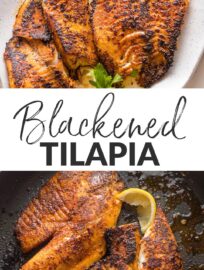 Blackened tilapia makes an ultra-fast, healthy dinner with flavor you'll legitimately crave. Serve with rice and your favorite veggie for a quality dinner in no time at all.