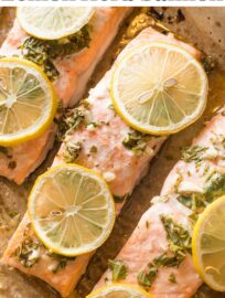 Baked Lemon Herb Salmon is a dinner staple: quick, easy, delicious, and healthy. With minimal prep and clean up, plus a short baking time, this recipe is a dream on busy nights. Pair with steamed veggies and rice or garlic bread.