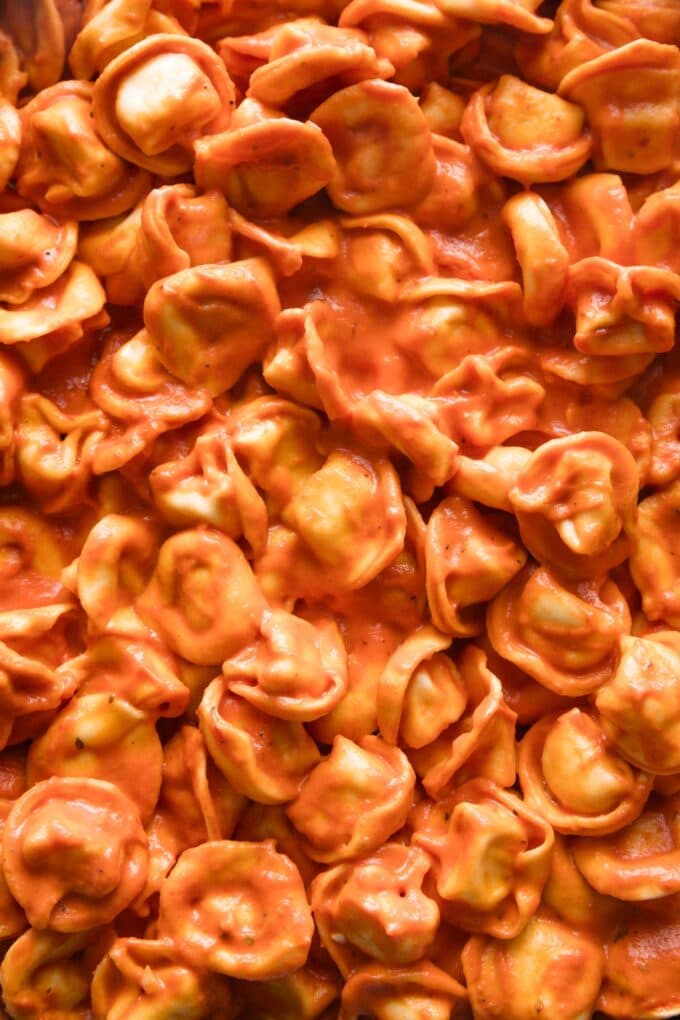 Close up view of cheese tortellini in a smooth tomato cream sauce.