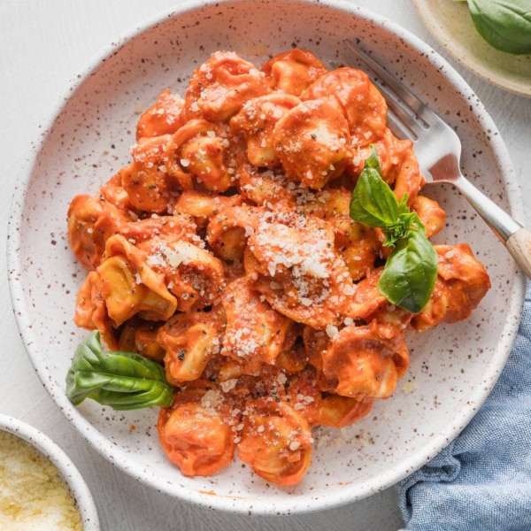 Small pasta bowl filled with tortellini cooked in a creamy tomato sauce with fresh basil and Parmesan cheese.
