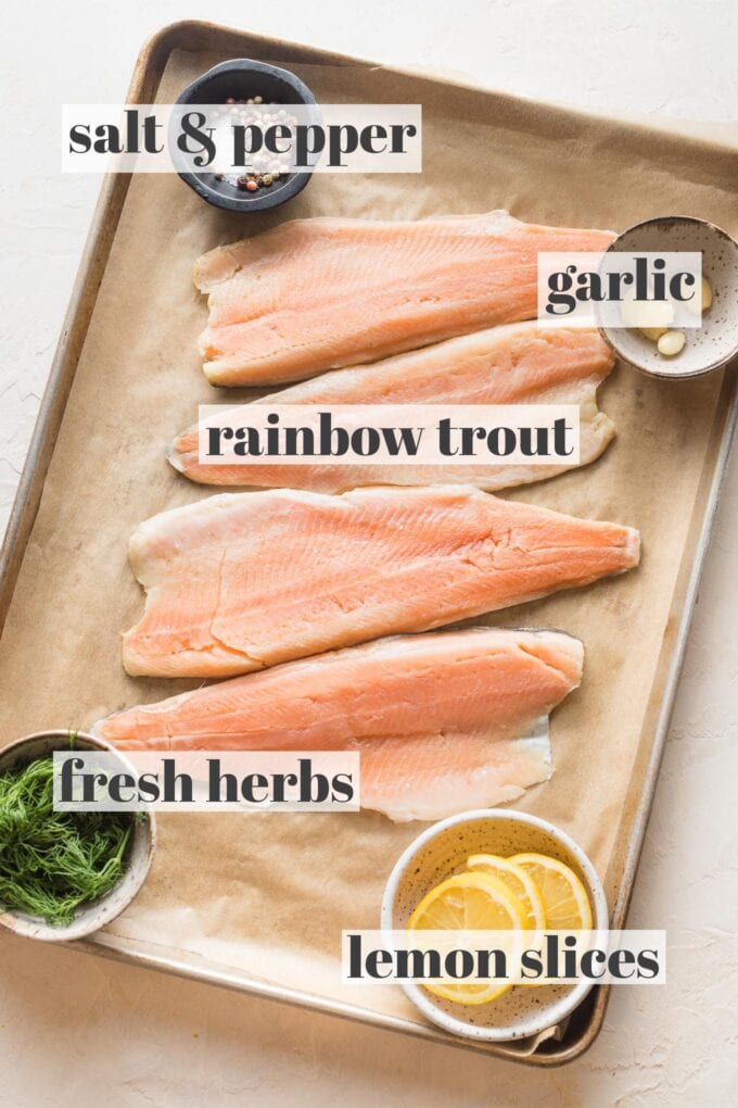 Raw rainbow trout filets on a parchment-lined sheet pan surrounded by salt, pepper, garlic, lemon slices, and fresh herbs.