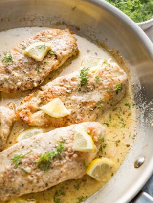 Close up of creamy lemon chicken garnished with lemon slices and fresh dill in a skillet.