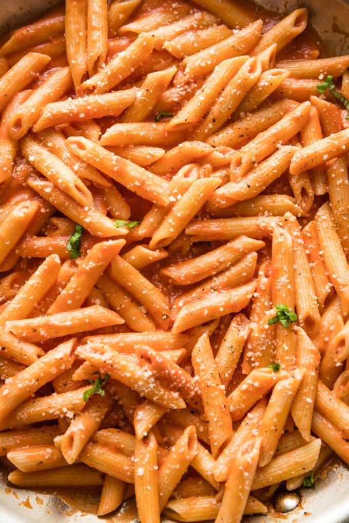 Close up of creamy tomato pasta tossed with fresh herbs and Parmesan cheese.