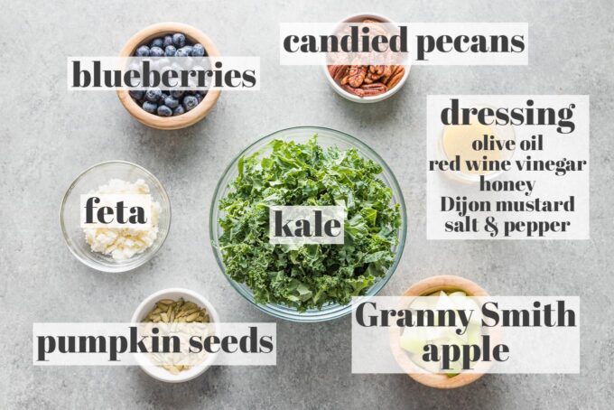 Labeled photo of kale, blueberries, candied pecans, feta cheese, a chopped Granny Smith apple, pumpkin seeds, and a homemade red wine vinaigrette in prep bowls and jars.