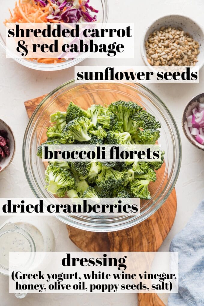 Labeled overhead photo of small chopped broccoli florets, shredded carrots and red cabbage, sunflower seeds, dried cranberries, and a creamy poppy seed dressing arranged in prep bowls and jars.