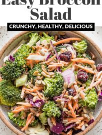 This healthy Broccoli Salad is an easy and delicious side that's perfect for sharing! It features crunchy broccoli, carrots, and red cabbage, salty sunflower seeds, sweet dried cranberries, and a creamy homemade dressing.