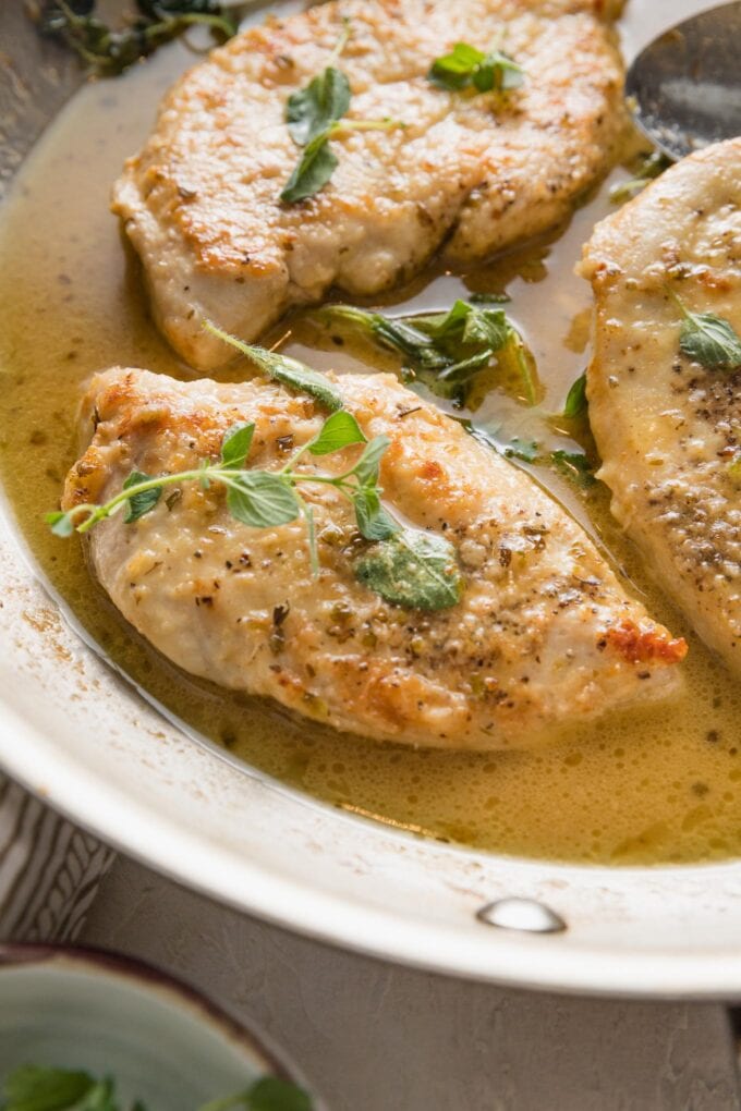 Close up of a pan-fried chicken breast seasoned with white wine sauce and oregano.