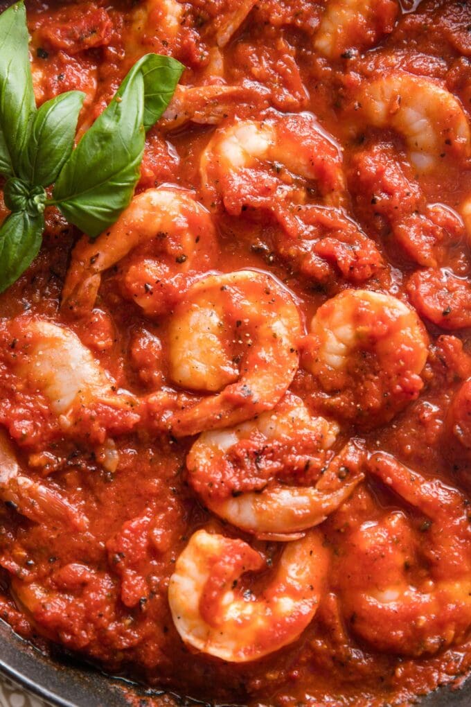 Close-up of shrimp cooked in marinara sauce.