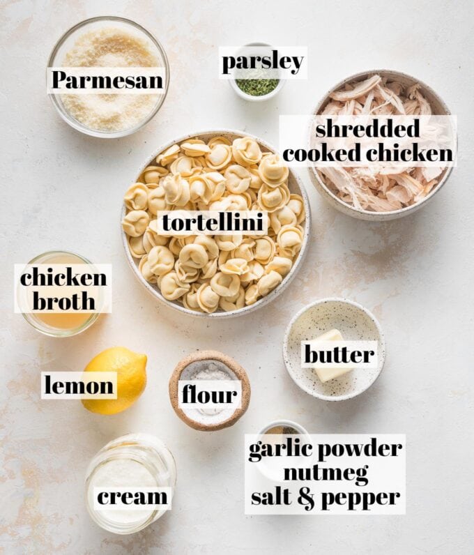 Labeled overhead photo of refrigerated tortellini, shredded cooked chicken, chicken broth, grated Parmesan, dried parsley, butter, lemon, flour, butter, cream, garlic powder, nutmeg, salt, and pepper, all measured into prep bowls and ready to cook.