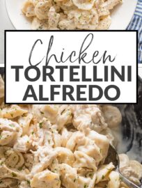 Chicken Tortellini Alfredo is a cozy weeknight meal that tastes like you walked into your favorite Italian restaurant! Comfort food doesn't get better than this, yet it's easy to make from scratch in about 25 minutes.