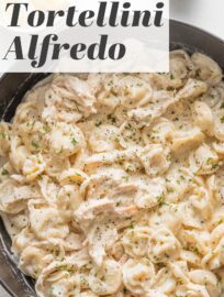 Chicken Tortellini Alfredo is a cozy weeknight meal that tastes like you walked into your favorite Italian restaurant! Comfort food doesn't get better than this, yet it's easy to make from scratch in about 25 minutes.