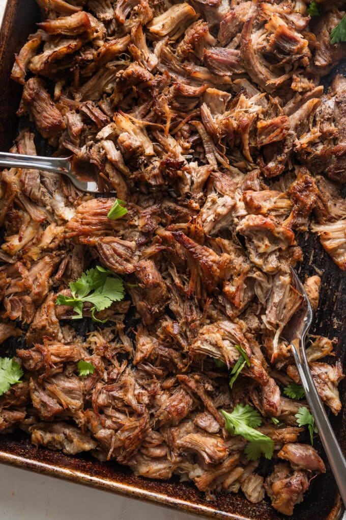 Close up of crisped up pork carnitas on a sheet pan, garnished with fresh cilantro leaves.