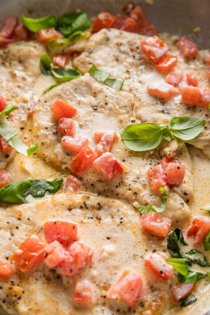 Close up view of a chicken breast with tomato and basil in a light cream sauce.