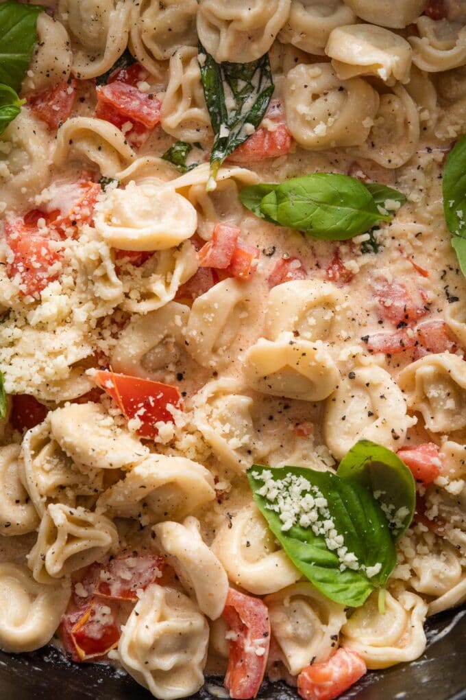 Close up of tortellini with tomatoes and basil in a creamy sauce.