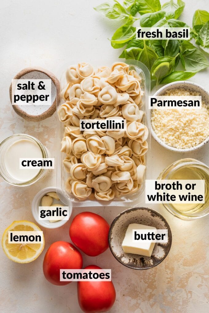 Labeled overhead photo of fresh tortellini, fresh basil leaves, Roma tomatoes, grated Parmesan cheese, chicken broth, cream, garlic cloves, salt, and pepper, all in prep bowls and ready to cook.