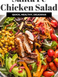 This delicious and veggie-packed Santa Fe Chicken Salad makes a phenomenal lunch or dinner. It's full of tender, taco-seasoned chicken breasts, crisp greens, creamy avocado, hearty black beans, and an array of vibrant veggies, all dressed with the simplest yet most delicious Mexican-inspired vinaigrette.