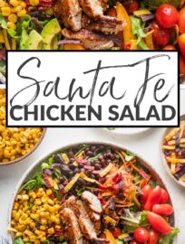 This delicious and veggie-packed Santa Fe Chicken Salad makes a phenomenal lunch or dinner. It's full of tender, taco-seasoned chicken breasts, crisp greens, creamy avocado, hearty black beans, and an array of vibrant veggies, all dressed with the simplest yet most delicious Mexican-inspired vinaigrette.