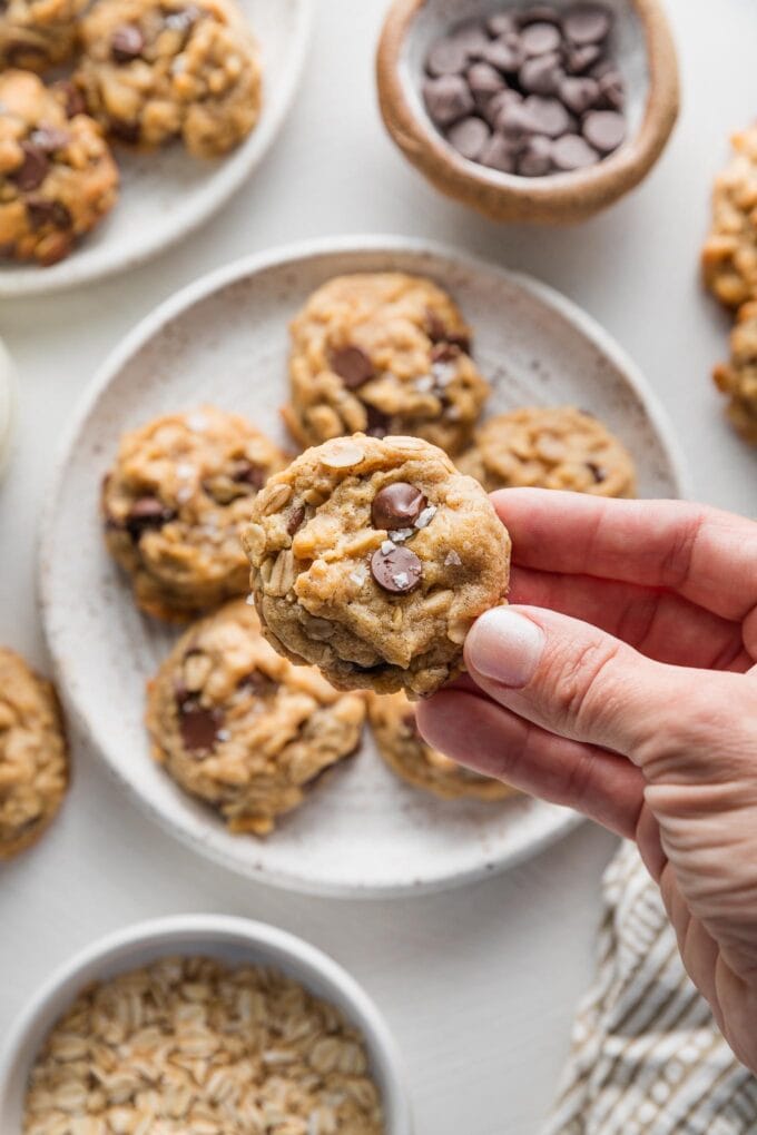 Hand holding a bite-sized oatmeal chocolate chip cookie.