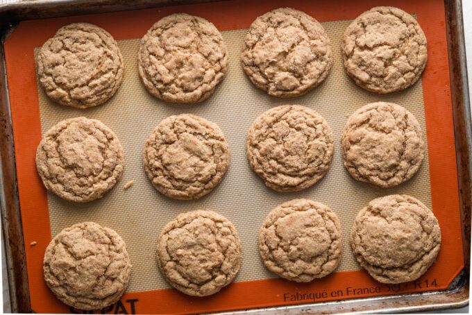 Large baking sheet with 12 apple butter snickerdoodles just pulled out of the oven and cooling on the sheet.