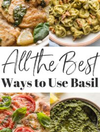 Composite image of four recipes that use basil - lemon basil chicken, creamy pesto tortellini, Caprese flatbreads, and a simple basil pesto with lemon zest - with the words "All the best ways to use basil" superimposed.