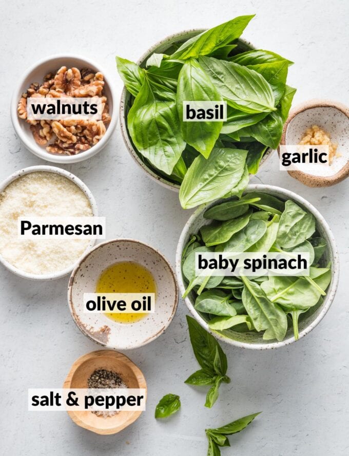 Labeled overhead photo of basil, spinach, walnuts, garlic, Parmesan, olive oil, salt, and pepper, all measured into prep bowls and ready to blitz in a food processor.