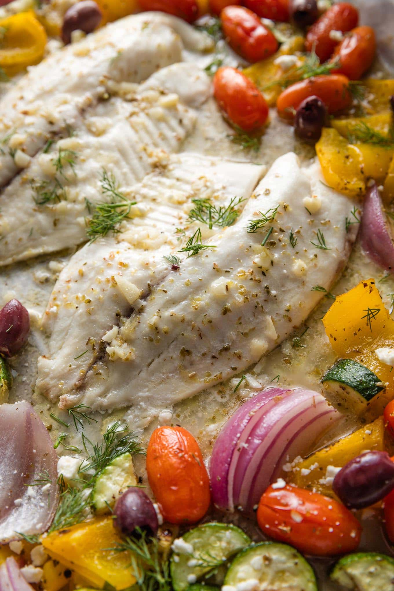 Close up of Greek tilapia on a sheet pan with veggies and olives.