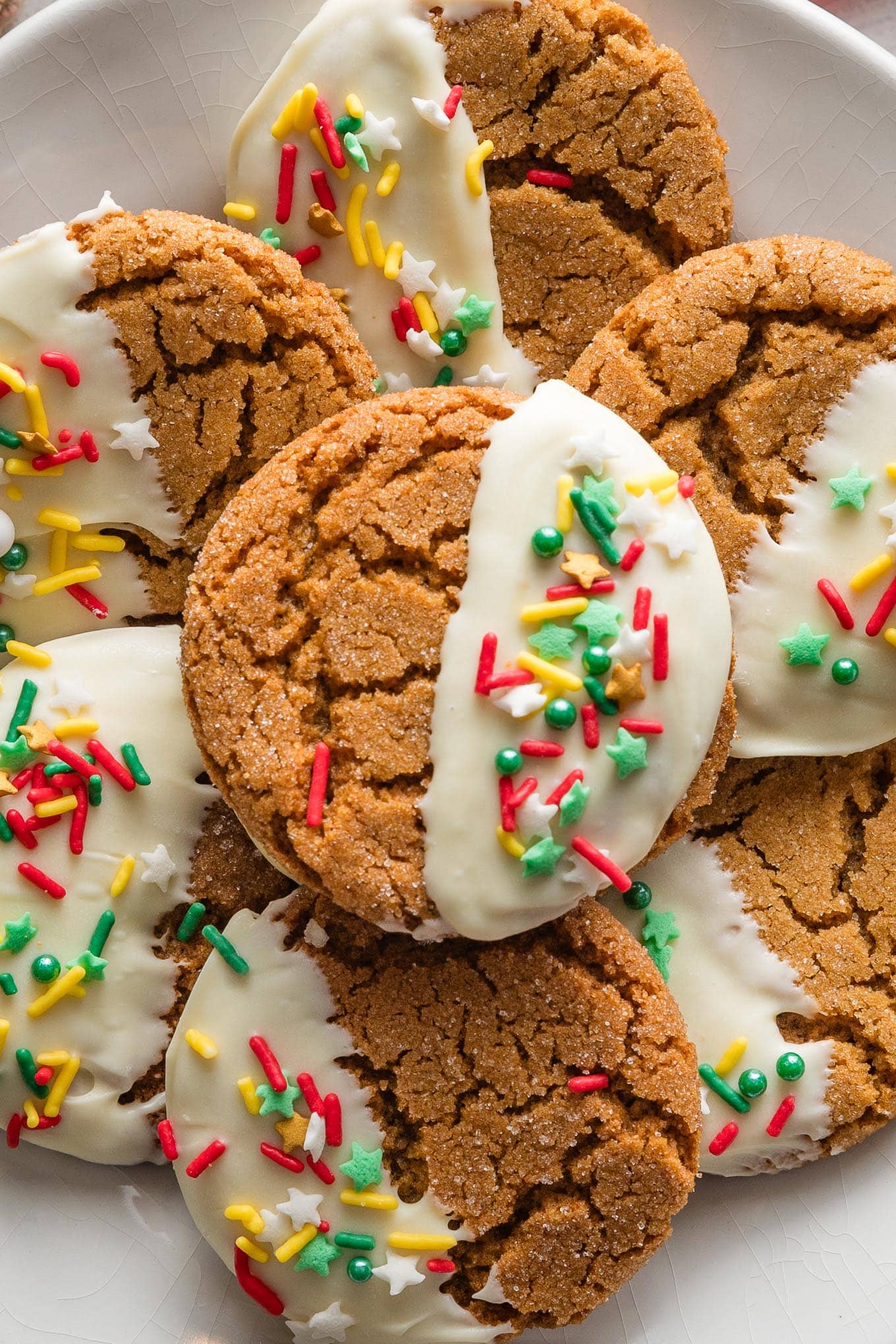 Close up of a ginger molasses cookie with a deep crackly top partially dipped in white chocolate and finished with festive Christmas sprinkles.